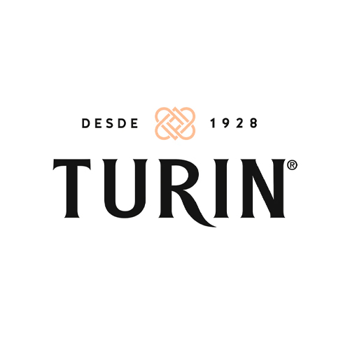 logo-turin.jpg